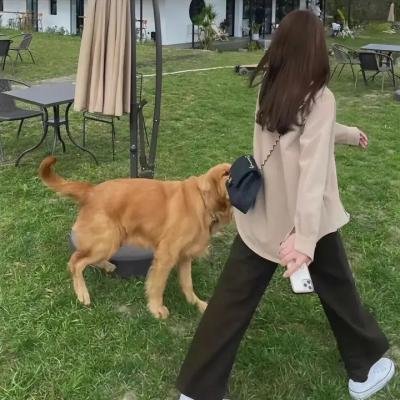 巴西香粉寮