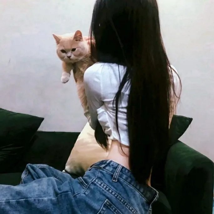 雾中系铃人